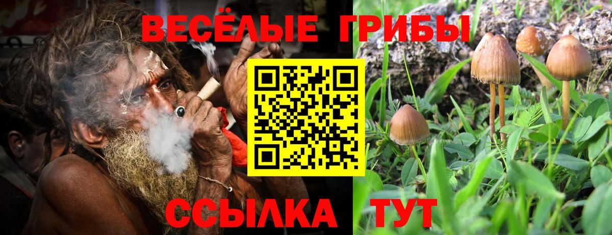 Уссурийск  Галлюциногенные грибы Psilocybe  Вход с VPN 